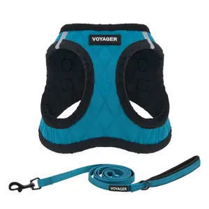 Voyager Step-In Plush Dog Harness and Leash Set - Soft Padded No Pull Vest Combo for Small Medium Large Dogs Cats | Adjustable Fit 10-34 Inch Chest | Complete Walking Set by Best Pet Supplies
