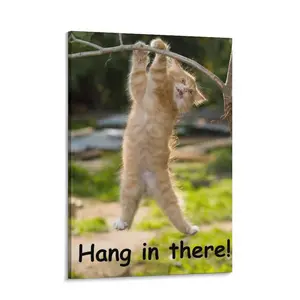 Hang in there! Cat Poster - The perfect fun and inspirational poster for home or office - humorous decoration, witty quotes