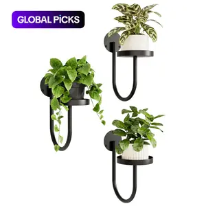 Hanging Planters for Indoor Plants, Wall Plant Holder, Plant Hanger, Floating Plant Hangers, Indoor Wall Planters, Window Plant Shelves, Hanging Plant Holder, Hanging Flower Pots #GLOBAL PICKS