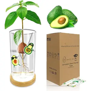 Avocado Seed Starter Vase - Avocado Tree Growing Kit with Base and Sticker, Glass Avocado Pit Sprouting  Pot  for Women, Gardening Lovers  Office Table Decoration, Indoor No Seed