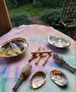 Abalone Shells Smudge Sage Palo Santo Kit