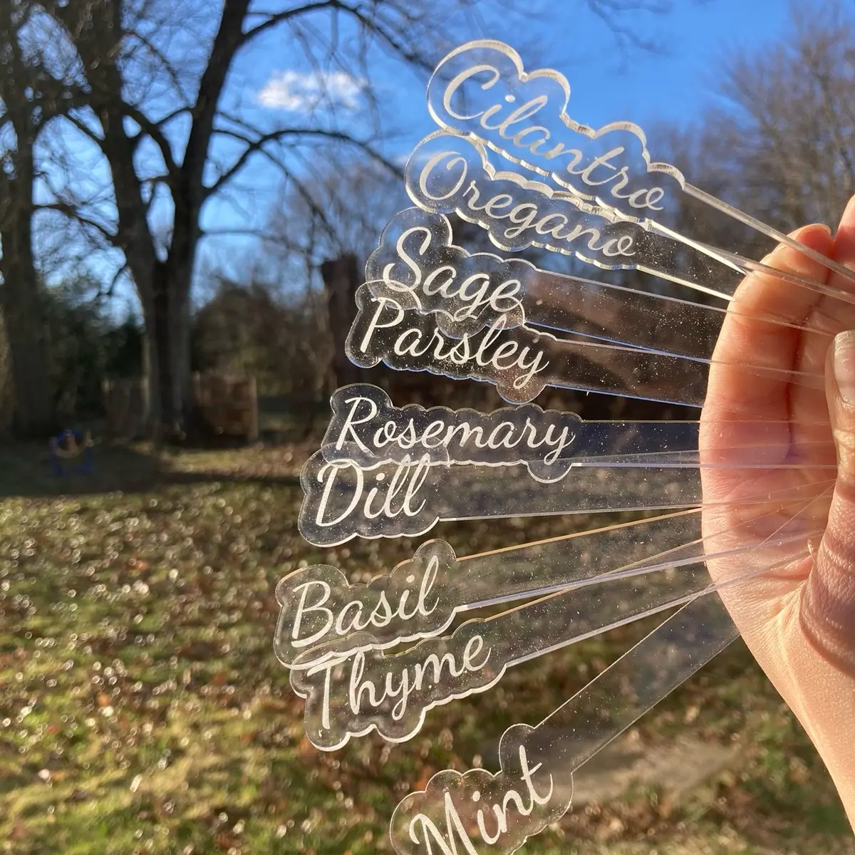 Custom Garden Vegetable and Herb Markers