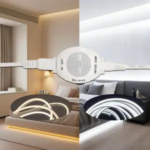 1 piece of motion-sensing neon light strip, Warm light, white light options, USB powered, equipped with clips for easy installation, Suitable for indoor areas such as bedrooms, living rooms, and cabinets, Led neon lights