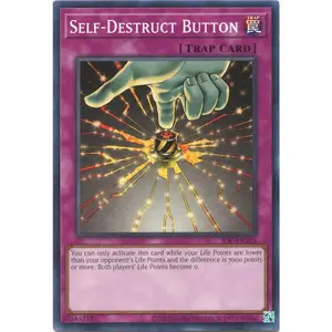 Self-Destruct Button | IOC-EN105