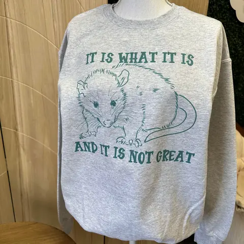 Women's Loose Baggy Hoodie Sweatshirt, "It Is What It Is" Possum Print, Ash Gray Tee-Inspired Top