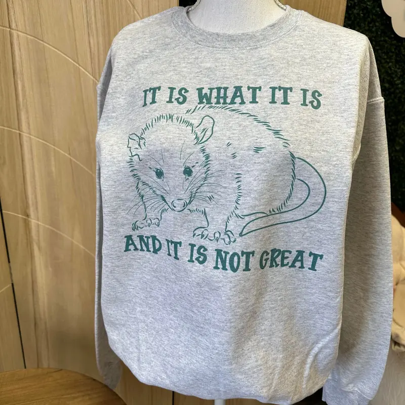 Women's Loose Baggy Hoodie Sweatshirt, "It Is What It Is" Possum Print, Ash Gray Tee-Inspired Top