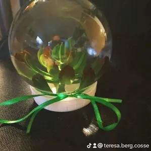 succulent snow globe
