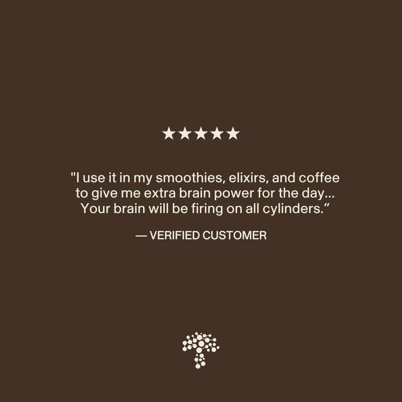 Lion's Mane Focus Bundle