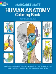 USED-Human Anatomy Coloring Book by Matt, Margaret (Paperback)