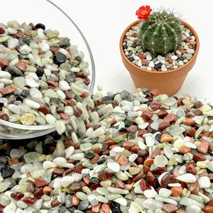 3/8 Inch Mixed Color Pebbles, Polished Decorative Gravel Colorful River Rock for Plants - for Succulent, Cactus, Fish Tank, Vase, Bird Bath, Garden Landscaping and Top Dressing-3LB