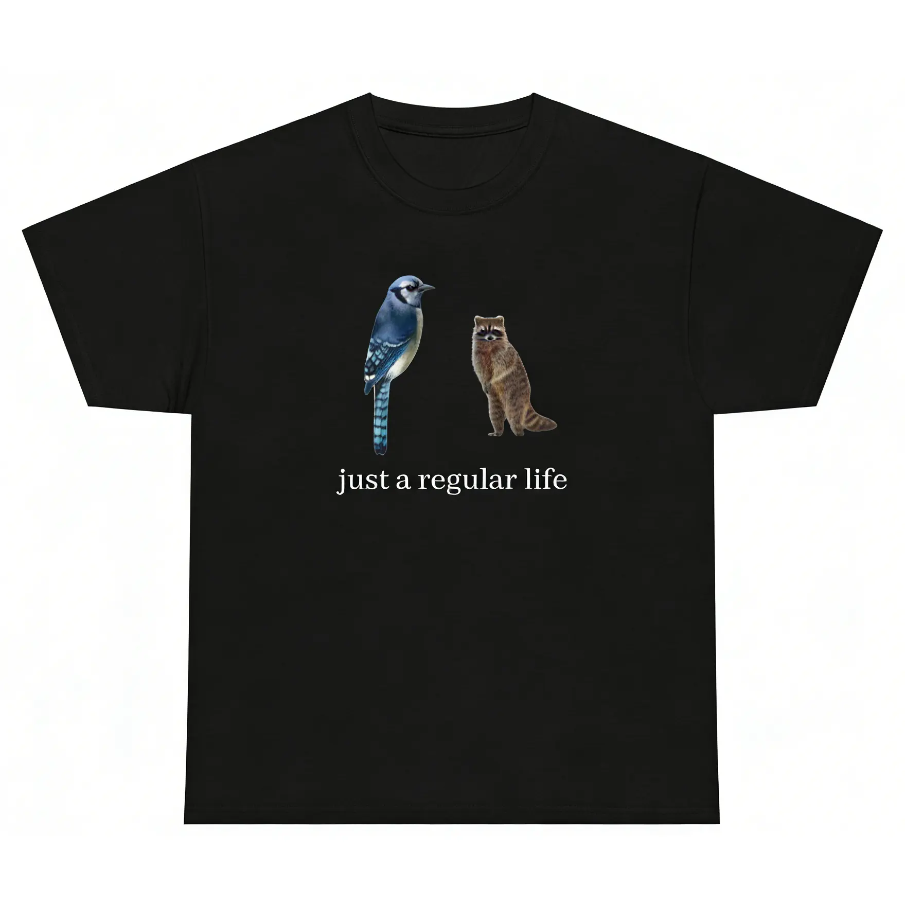 Blue Jay and Raccoon T-Shirt just a regular life graphic tees Funny Meme Animal Gift y2k cotton fashion Streetwear Comfort Shortsleeve Casual Top Trending