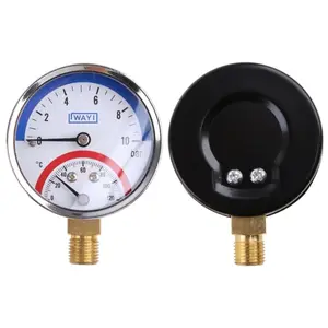 2-in-1 Pressure Gauge and Thermometer 10 Bar Temperature and Pressure Gauge [TS4]