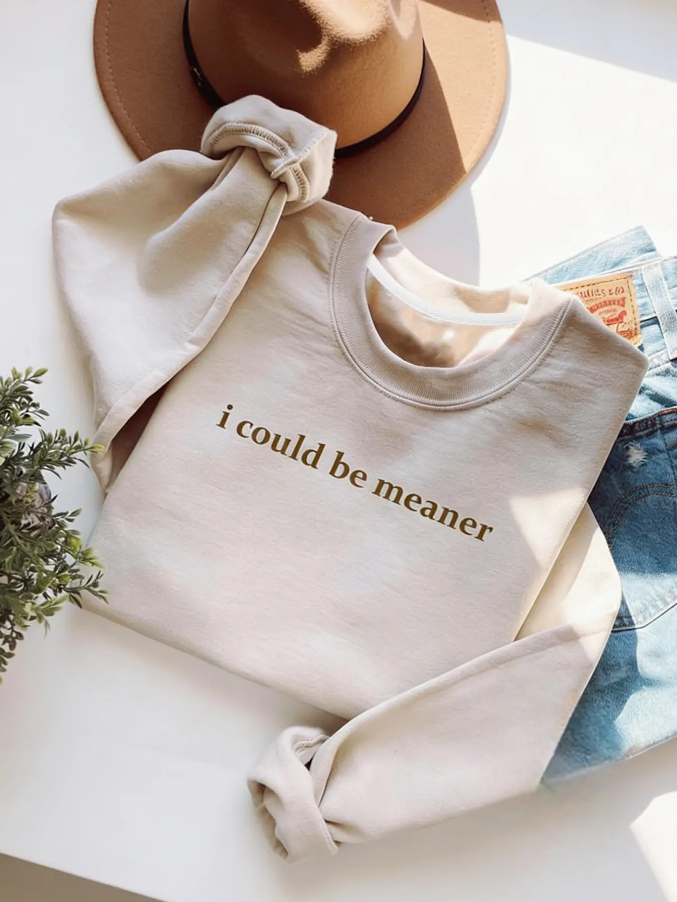 I Could Be Meaner Sweatshirt, Pullover, Funny Sarcastic Quote Crewneck, Comfortable Casual Spring & Fall Layering Choice