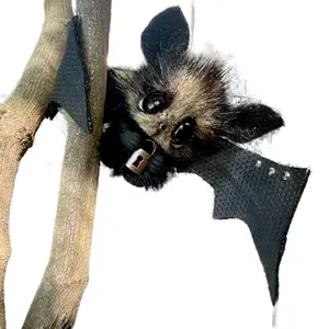 Dracula the tiny finger bat.