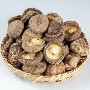 Dried Shiitake Mushrooms Dry Dehydrated Mushrooms for Cooking