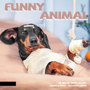 2026 Wall Calendar Funny , 14 Months Hangable Wall Calendars, 12" x 24" (Open), Thick Glossy Paper, Organizing & Planning