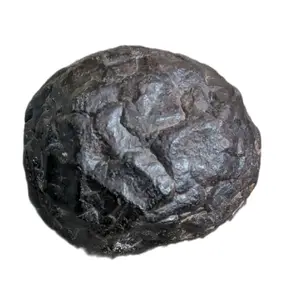 Prophecy stone (Pseudomorph after pyrite)
