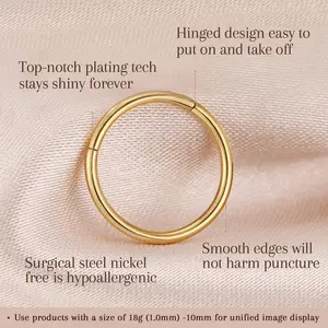 Hinged Segment Ring Hoop Septum Clicker 20G 18G 16G 14G 8G 6G 6mm 7mm 8mm 9mm 10mm 12mm 14mm Surgical Steel Helix Daith Rook Conch Tragus Cartilage Earrings