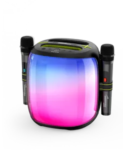 100W Portable Bluetooth RGB Lights Party Speaker with Two Microphones and tripod stand