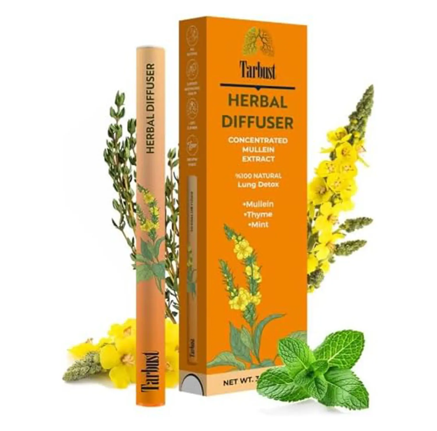 Hot 2026!!! Non-Electronic Botanical Fragrance Accessory, 1 Pack Mullein-Thyme-Mint Scented for Aromatherapy Respiratory Wellness, Relaxation