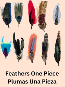 Feathers/Plumas One Piece
