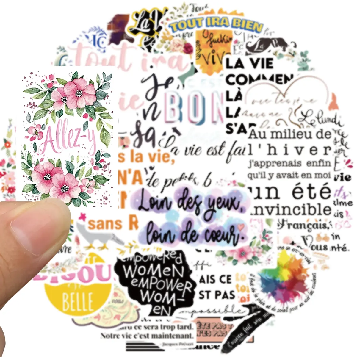 50 PCS French Inspirational Stickers for Teens Adults Kids, Motivational French Stickers for Students Teachers, Vinyl Positive French Gifts Water Bottle Stickers