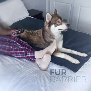 Fur'Barrier Hygienic Pet Bonding Xtra Durable Drool Proof Cotton Twill Fabric Protection for Home & Vehicles Odor Control Machine Washable