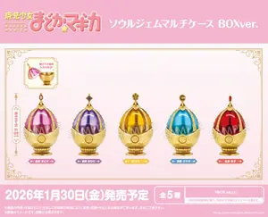 Puella Magi Madoka Magica Soul Gem Multi Case Blind Box