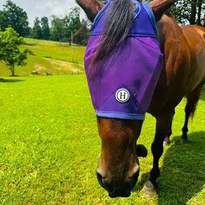 Horse size Fly Masks  - Purple Design as Show in the Image