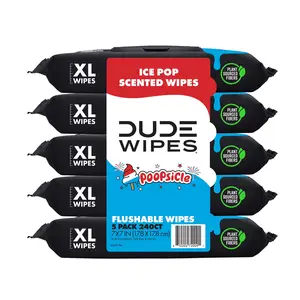 DUDE paper Wipes Poopsicle, Ice Pop Scented Extra Large Flushable Wipes, 48 Count, 5 Pack (240 Total)