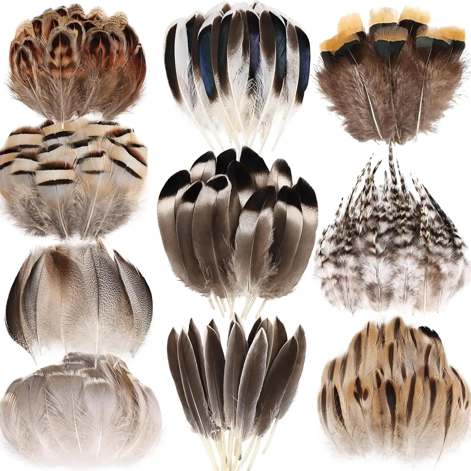 300 count  Feathers Small 10 Styles Bulk for DIY Crafts Hat Wedding  Party Decoration Feathers