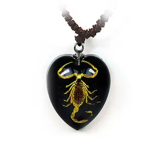 Black Heart Shaped Pendant Necklace with Real Brown Scorpion