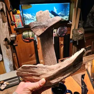 driftwood anchor