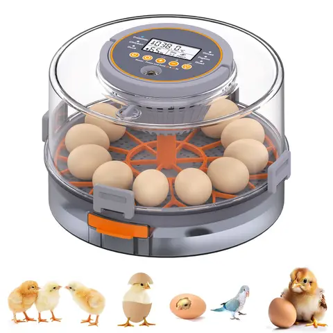 Automated 20-Capacity Egg Incubator (Double Tray) with 760° Auto Turner, Digital Display, Auto Temp & Humidity Control, Emergency Power, 12V Backup Cable, 5 Smart Modes, 3-in-1 Function for Farmers & Hobbyists
