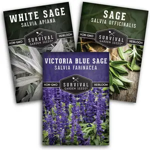 Sage Collection - Blue Victoria, Culinary & White Sage - Non-GMO Herb Seeds for Culinary Use and Traditional Spice