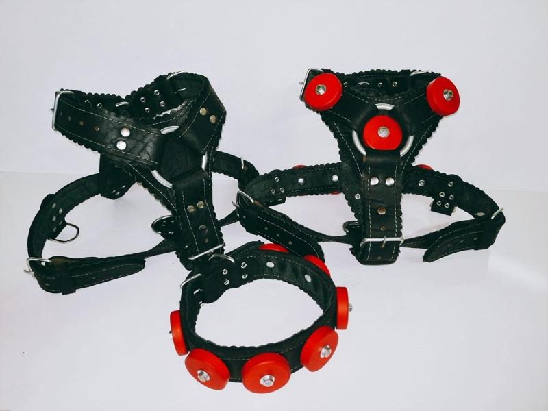 Custom Weight Collar and weight harness’s each holding five individual weights at  1.5 pounds each . Hand made and crafted quality made to last.