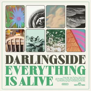 Darlingside - Everything Is Alive  [VINYL RECORD - LP]