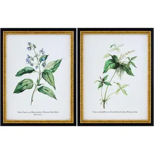Soft Lime Green Rustic Framed Wall Art for modern gallery walls