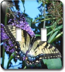 lsp_159528_2 A Beautiful Butterfly with Its Wings Wide Opened Double Toggle Switch