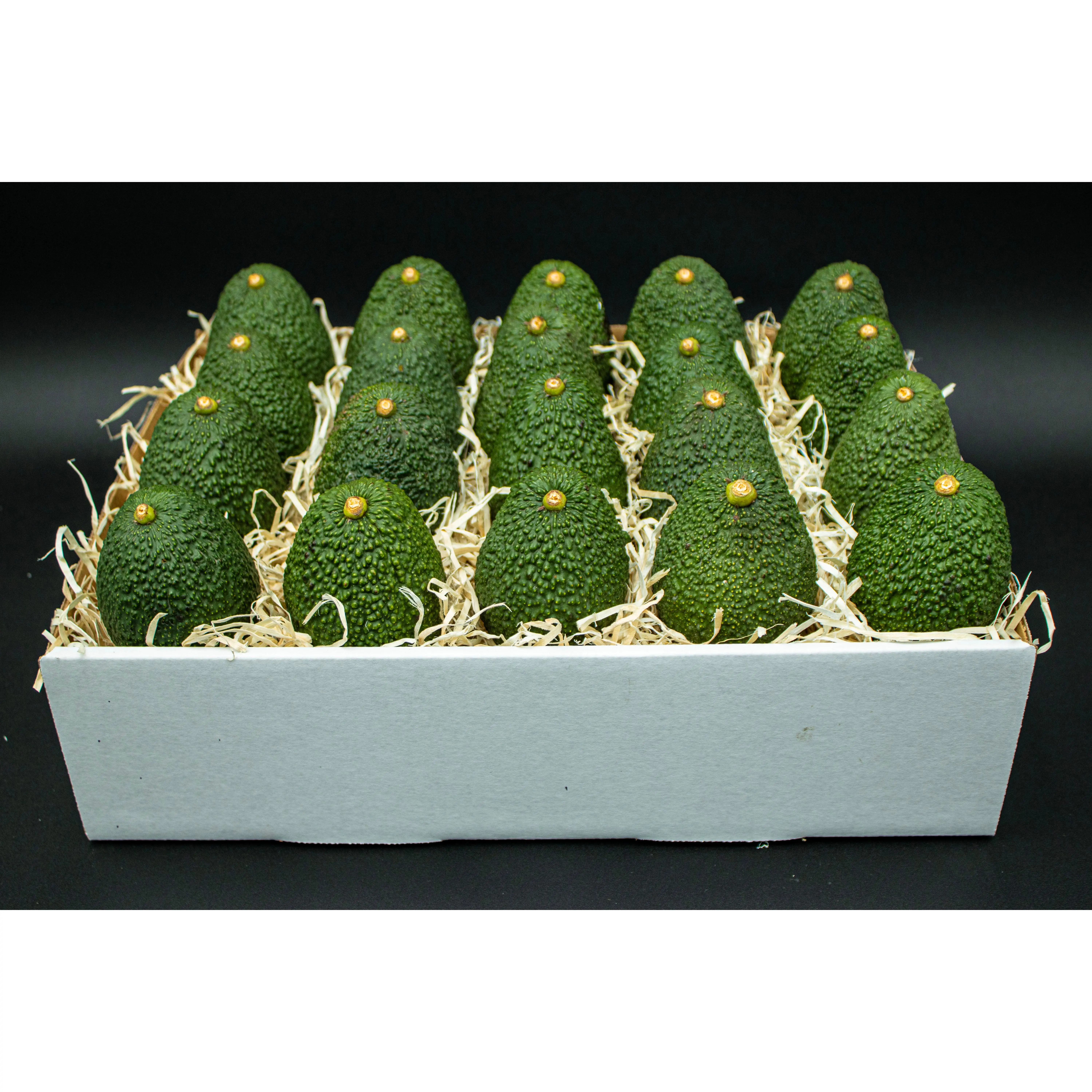 24 Large Hass Avocados - Fresh from the farm