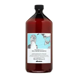 DAVINES Well Being Shampoo 1000ml - Enriched with Echinacea Extract for Moisturizing & Protective Care