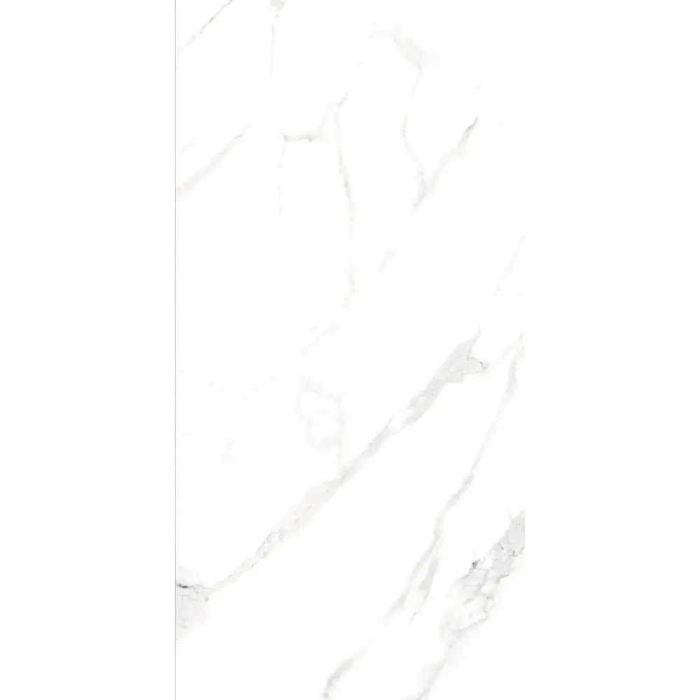 AGL Statuario Matte 24 x 48