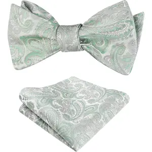 Alizeal Mens 2pcs Paisley Jacquard Self-Tie Bow Tie Pocket Square Set