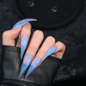 Handmade Dragon Claw Nails, Shimmery Long Nail Polish, European Style Cat Paw Nails, Single Item, No Flammable Liquid, S M L Sizes, Handmade Acrylic Nails