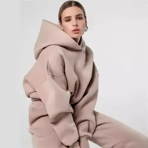 2 Piece Outfits Hooded Sweatshirt + Jogger Pants Casual Sport Suit Autumn Winter Two Piece Set Women's Tracksuit Female Clothes