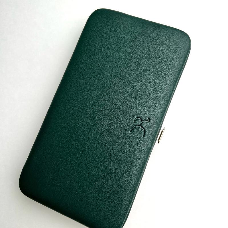 Travel Kit 6 Makeup Brushes in Faux-Leather Clutch for Safe and Clean Storage and Portability