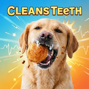 [A dog's favorite treat]Dog Chew Ball Treats -Duck Jerky Dental Ball for Small & Large Dogs-Durable Beef-Hide & Egg-Yolk Toy Treats,Natural Healthy Training Toys & Snacks