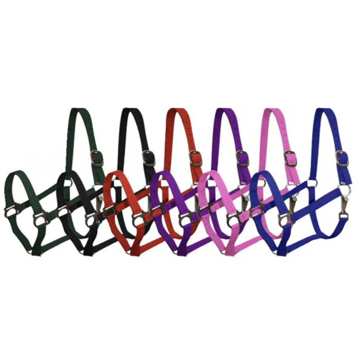 Showman halter Showman halter