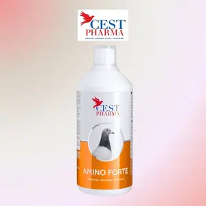 Cest Pharma Amino Forte  aminoacidos , electrolito . Suplemento multivitamínico para aves domésticas: palomas y aves de compañía