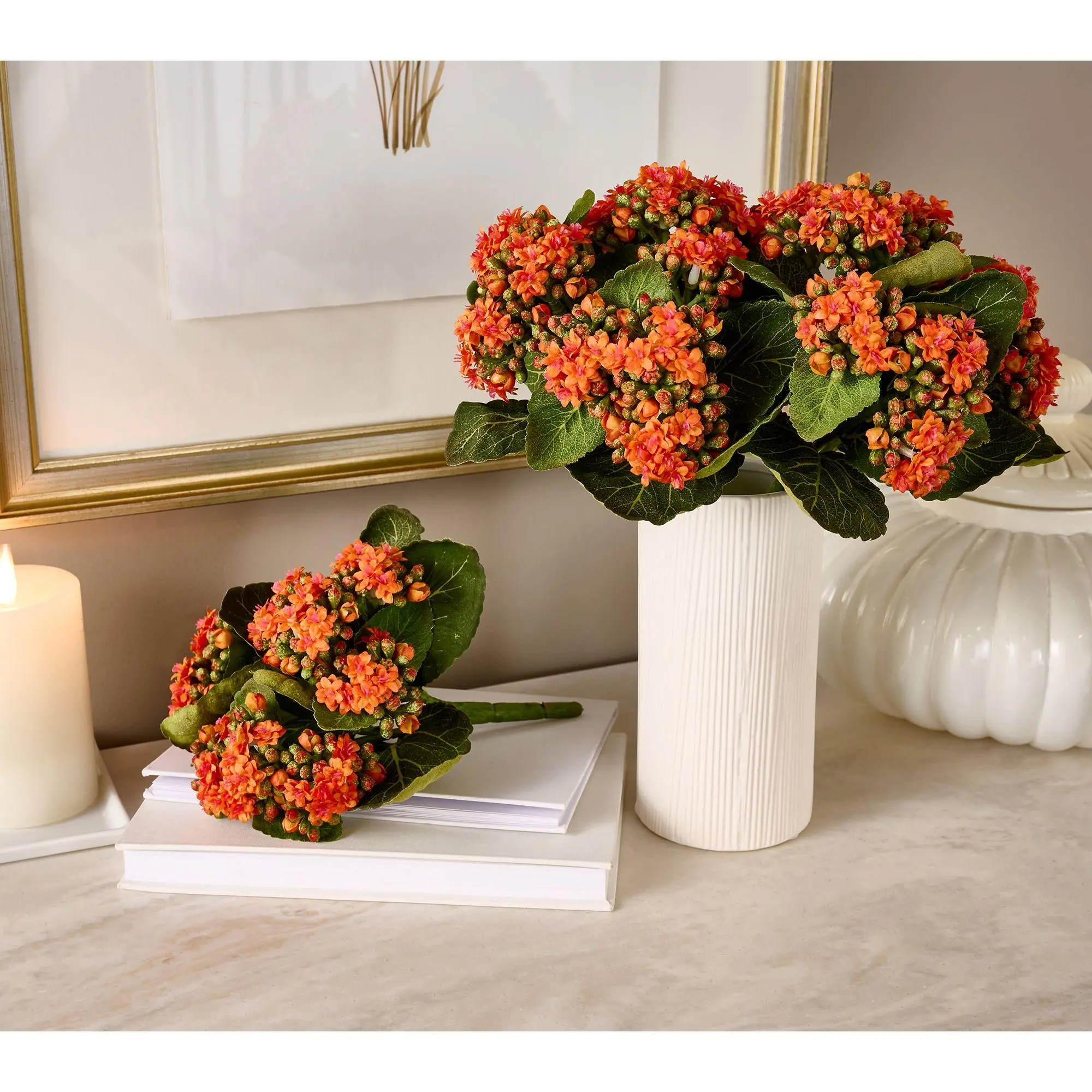 Set of 3 Kalanchoe Plants By Valerie Set of 3 Kalanchoe Plants By Valerie